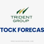 Trident Share Price Target 2024-2040: Long-term Forecast & Analysis