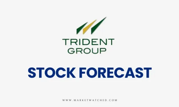 Trident Share Price Target 2024-2040: Long-term Forecast & Analysis