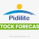 Pidilite Industries Share Price Target 2024-2050: Long-term Forecast & Analysis